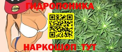 молекула духа Тулун